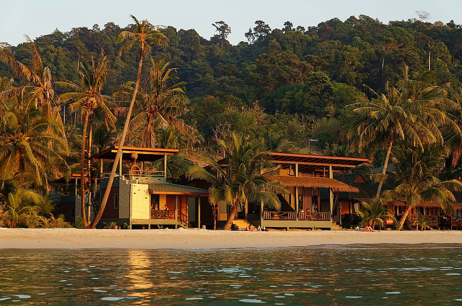 house infront of beach near forest mountain, bungalow, bathing beach HD wallpaper