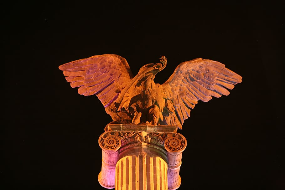eagle, exedra, column, plaza, postal, aguascalientes, animal representation HD wallpaper