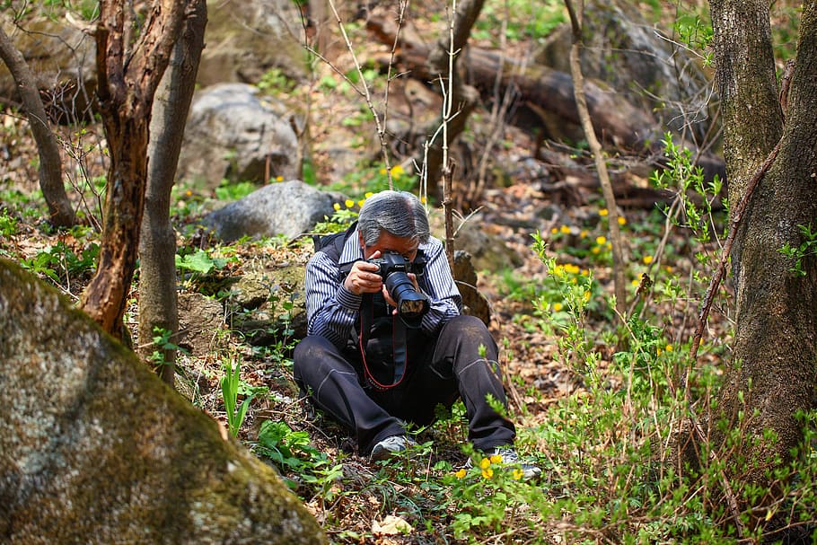 man taking photo on plant, wood, nature, quest, mountain, photographer HD wallpaper