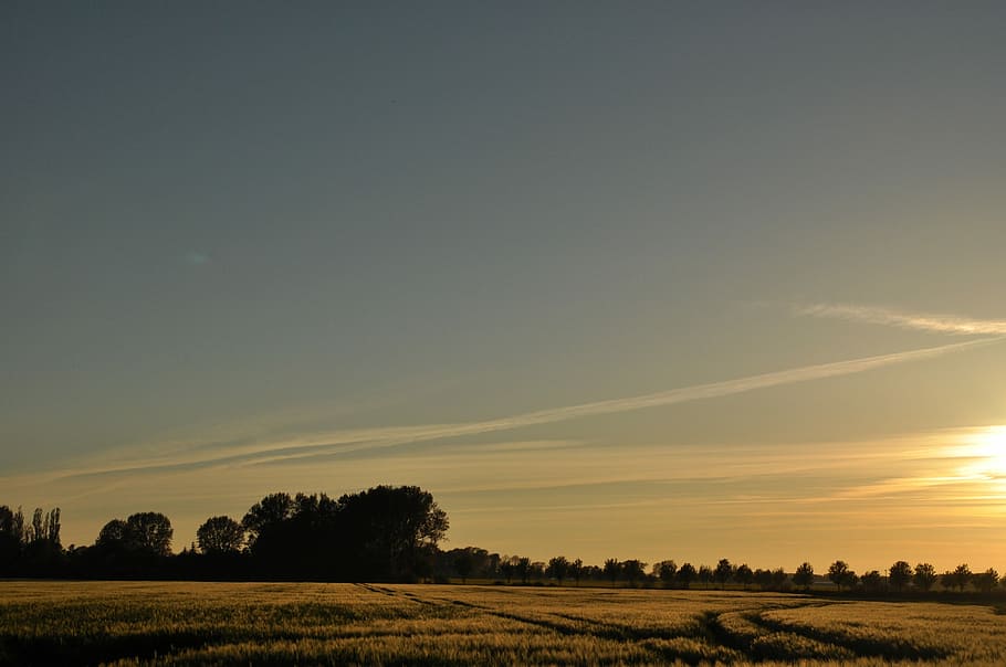 Landscape, Sunset, Nature, Evening, Sky, evening sky, twilight HD wallpaper