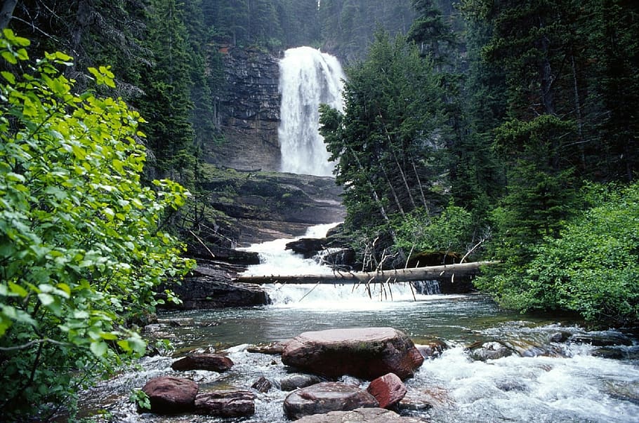waterfalls surrounded with trees, stream, landscape, nature, flowing