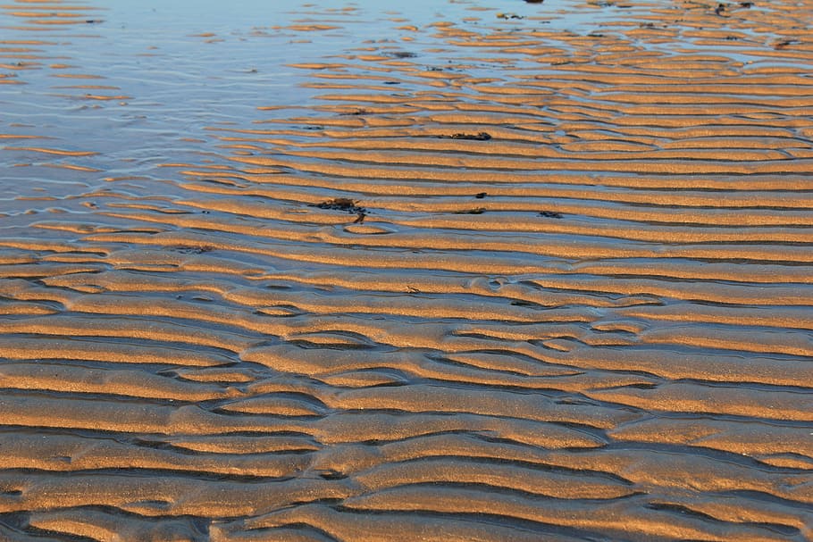 Sand, Ripples, Lines, Ridge, Background, wave pattern, beach HD wallpaper