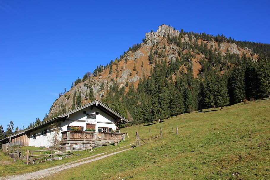 landscape photography of house and mountain, nature, wood, tree HD wallpaper