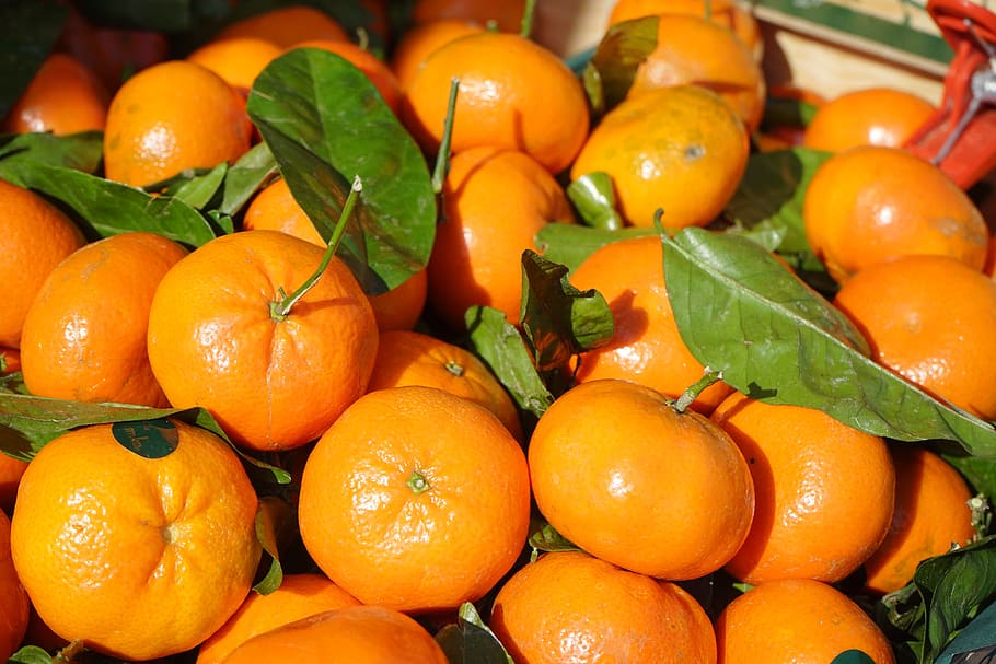 pile of orange fruits, clementines, vitamins, citrus × aurantium HD wallpaper