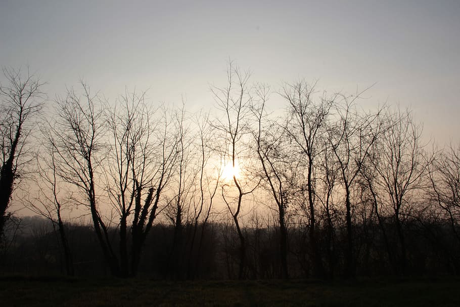 Winter, Sunset, Cold, winter sunset, brianza, nature, trees HD wallpaper