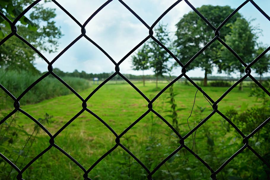 fence, wire, mesh, wire fence, wiremesh, closed, no entrance, HD wallpaper