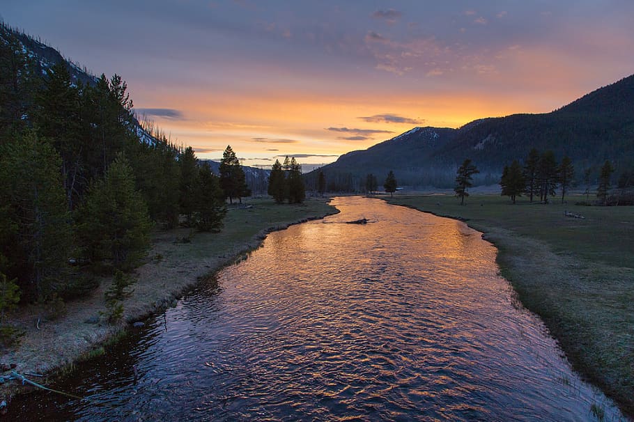 landscape photography of river surrounded with trees, river landscape