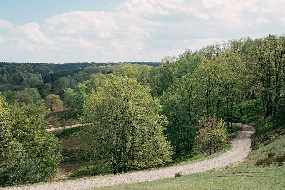 Country road, landscape, nature, tree, forest, scenics, outdoors HD wallpaper