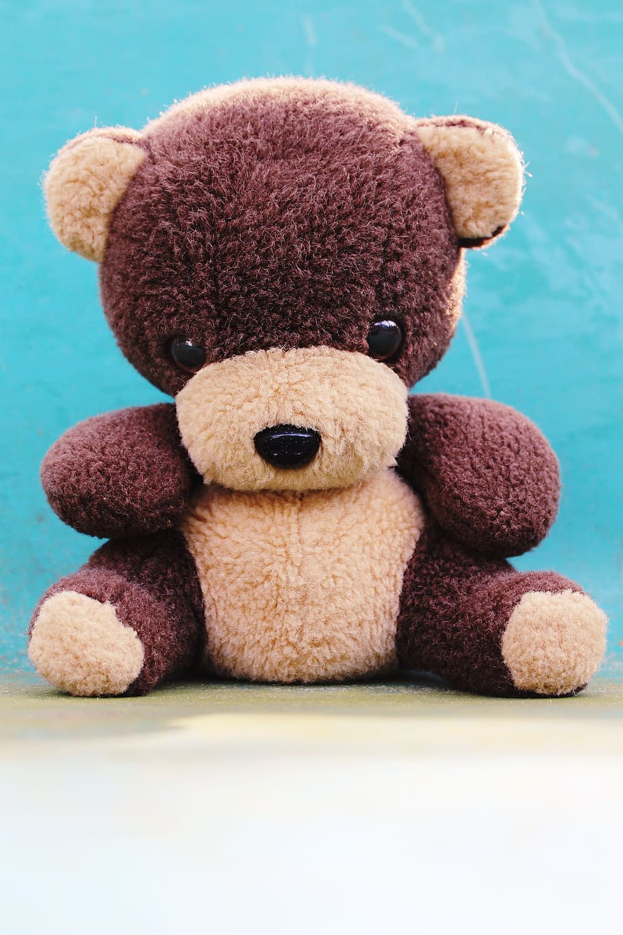 teddy, teddy bear, soft toy, cute, toys, bears, stuffed animal HD wallpaper