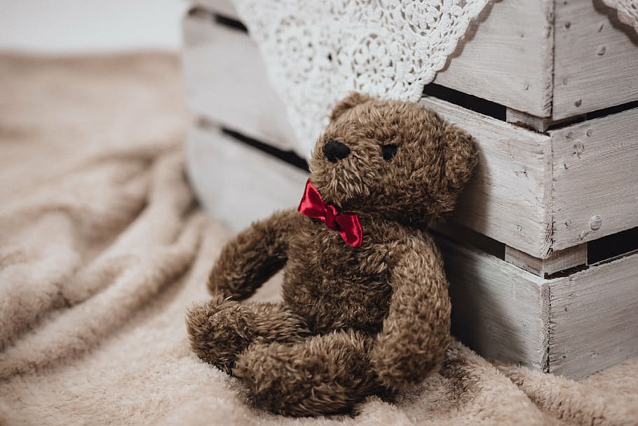 brown bear plush toy, stuff, display, interior, design, blanket