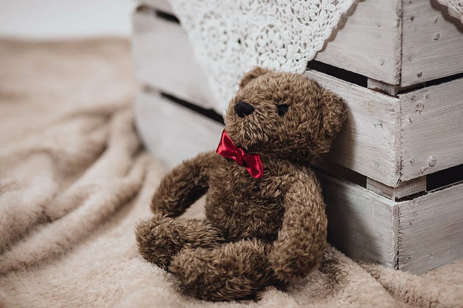 brown bear plush toy, stuff, display, interior, design, blanket HD wallpaper