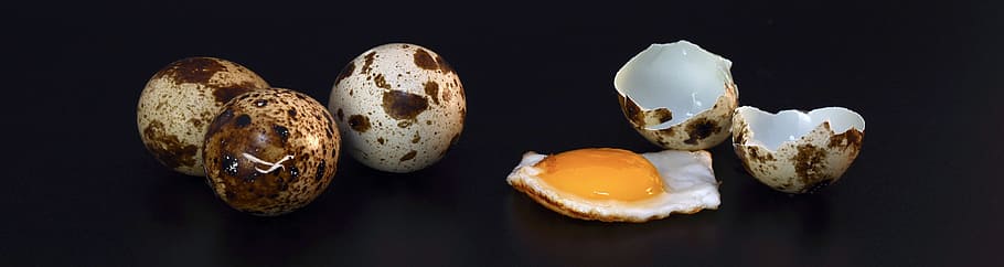 quail eggs, shell, fried, cooked, eat, food, protein, yolk HD wallpaper