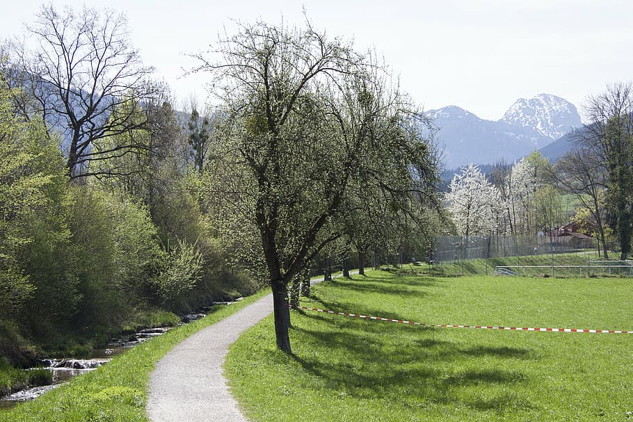 spring, sunshine, may, mountains, wendelstein, bach, trees HD wallpaper