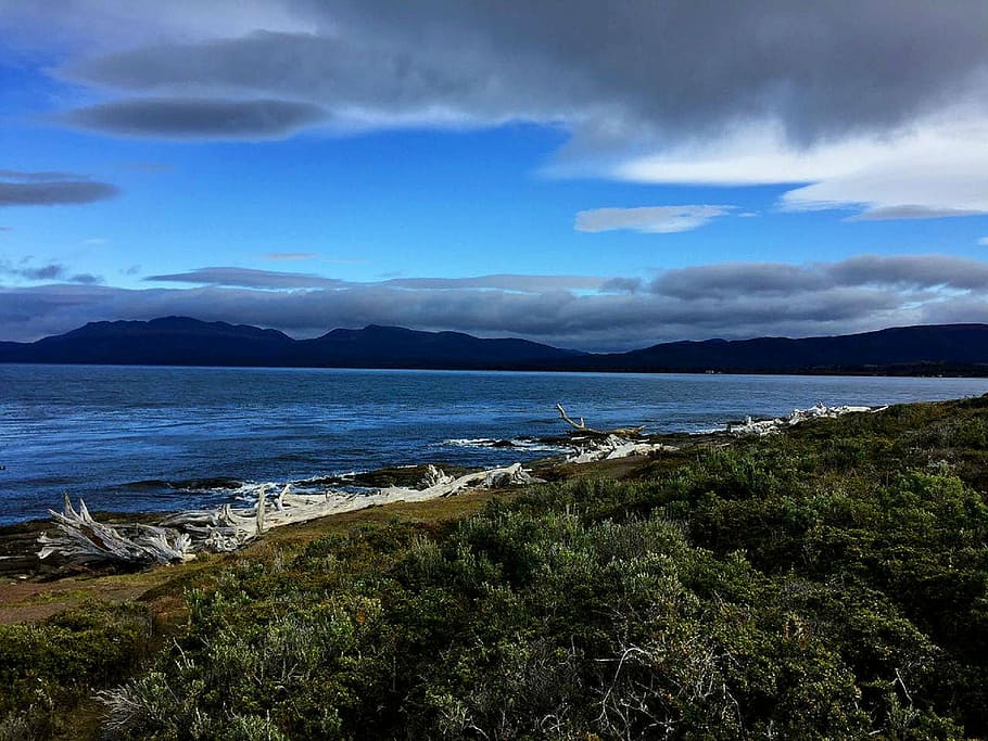 punta arenas, chile, beach, landscape, water, sky, sea, cloud - sky HD wallpaper