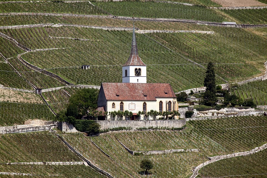 church, village, building, landscape, vineyards, ligerz, nature, HD wallpaper