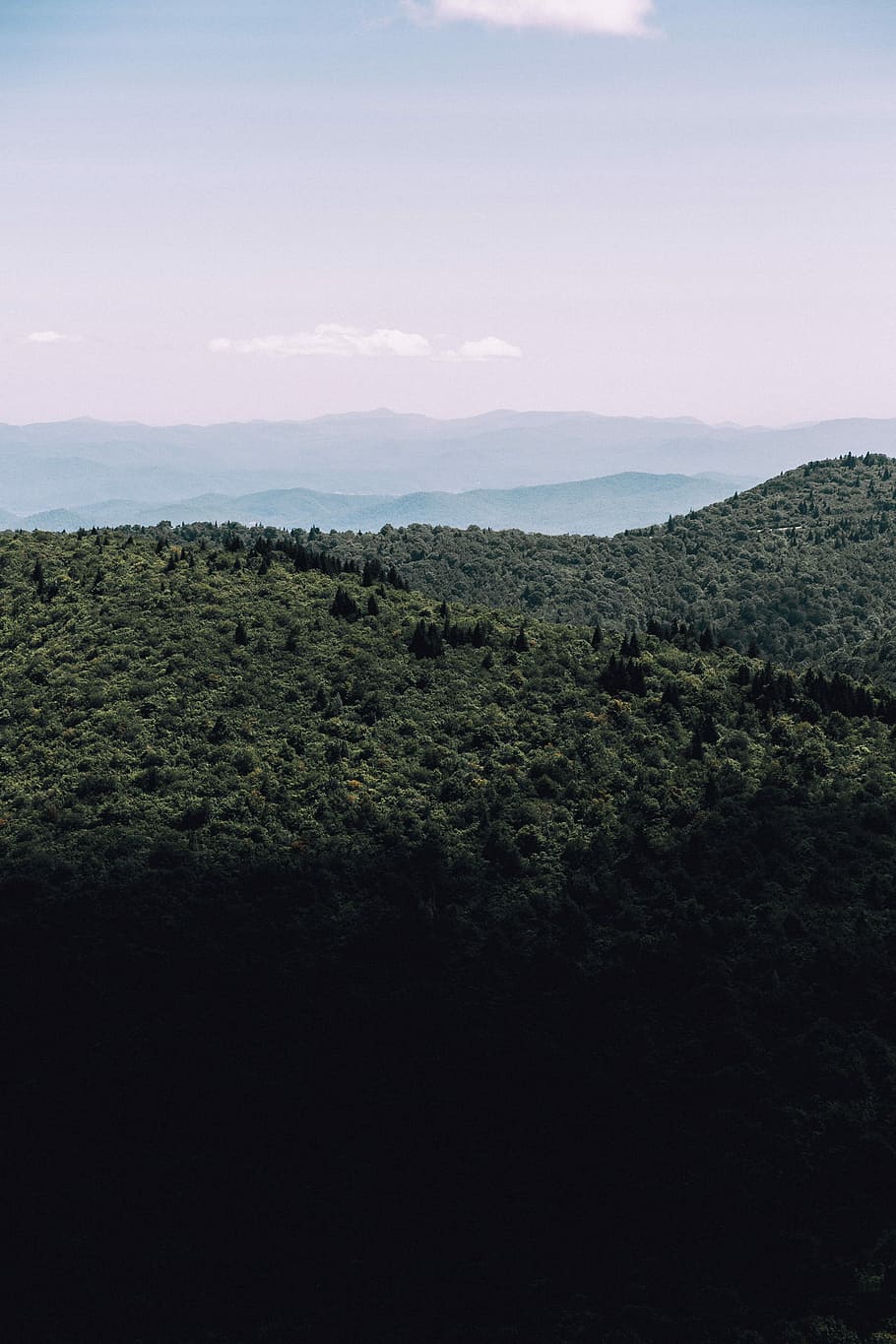 landscape photography of green trees, green forest mountain view during daytime HD wallpaper