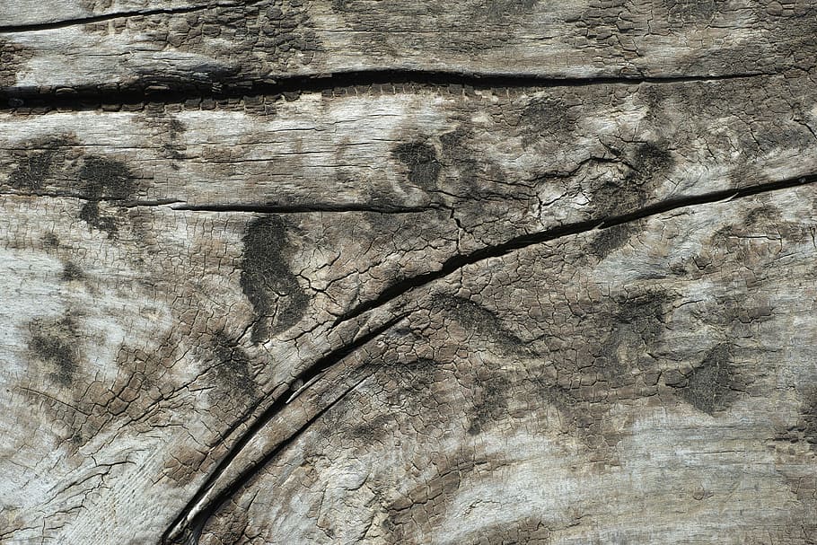 brown wooden surface, texture, macro, detail, old, wood-fibre boards HD wallpaper