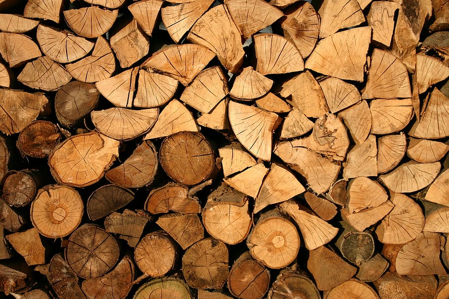 corkwood wallpaper, abstract, bark, cut, firewood, forestry HD wallpaper