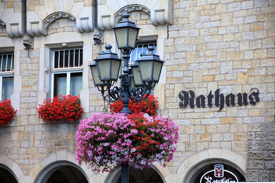 building, town hall, window, lantern, flowers, bloom, geranium HD wallpaper