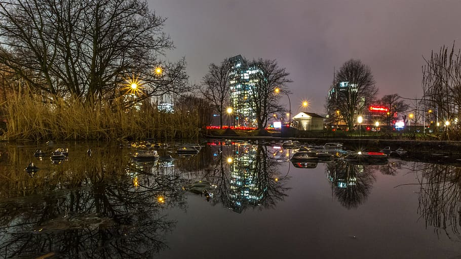 winter, tree, city, reflection, evening, ice, skyline, hamburg HD wallpaper