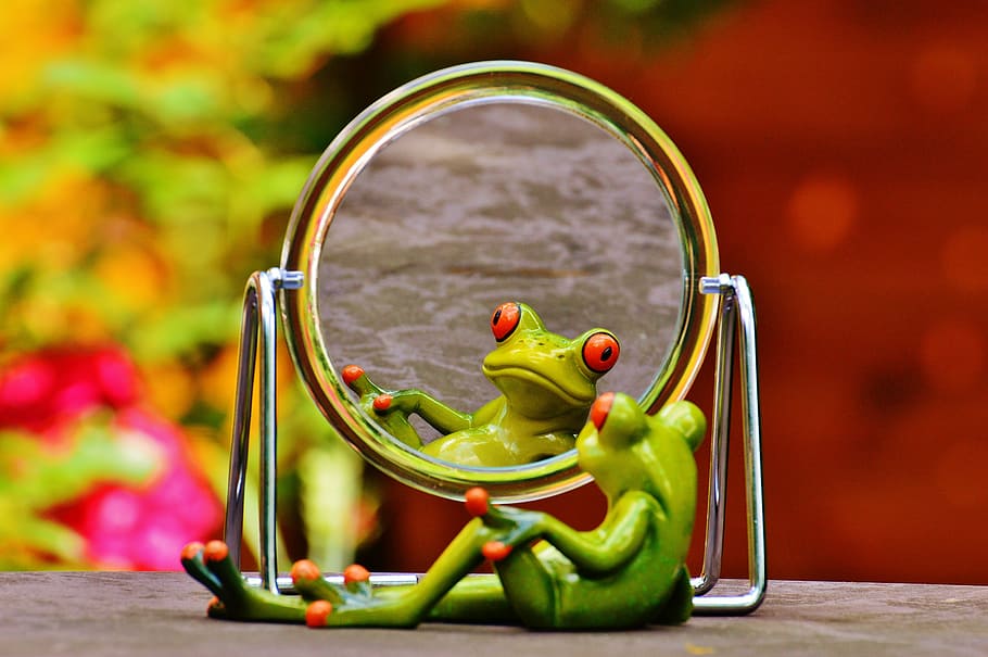 green frog looking at mirror, mirror image, mirroring, cute HD wallpaper