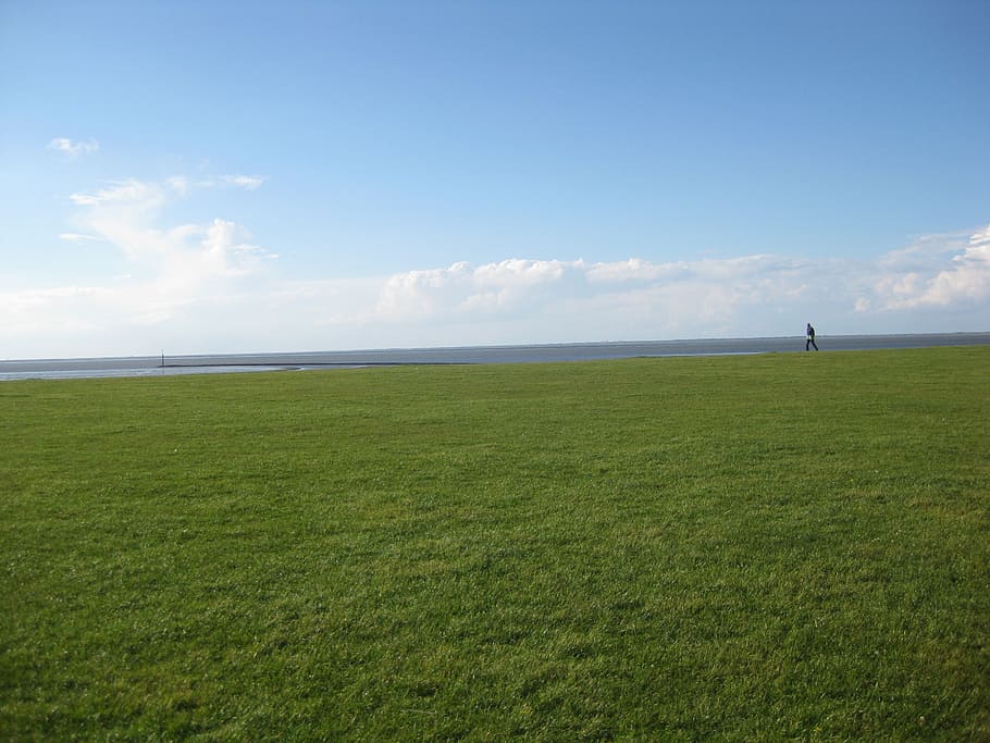 green lawn grass under cloudy sky, dike, meadow, horizon, north sea HD wallpaper