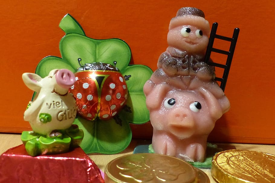 Lucky Charm, New Year'S Eve, new year's day, pig, klee, coins, HD wallpaper