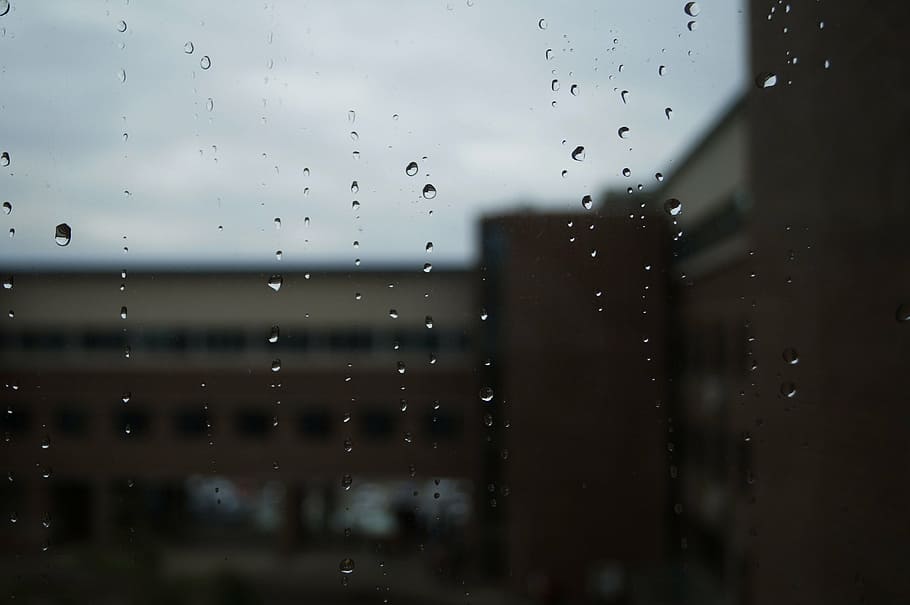non, tabitha, window, glass, raindrops, a rainy day, trickle HD wallpaper