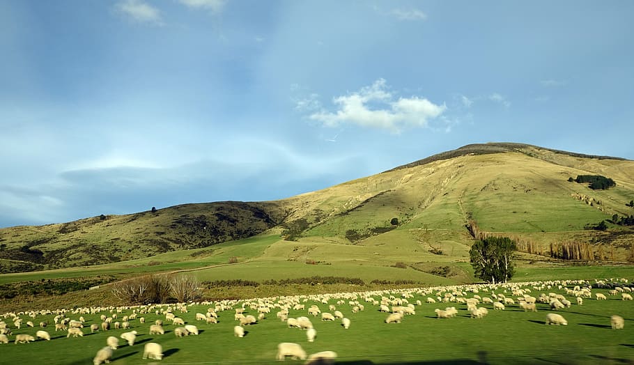 nature, landscape, sky, mountain, new zealand, travel, break HD wallpaper