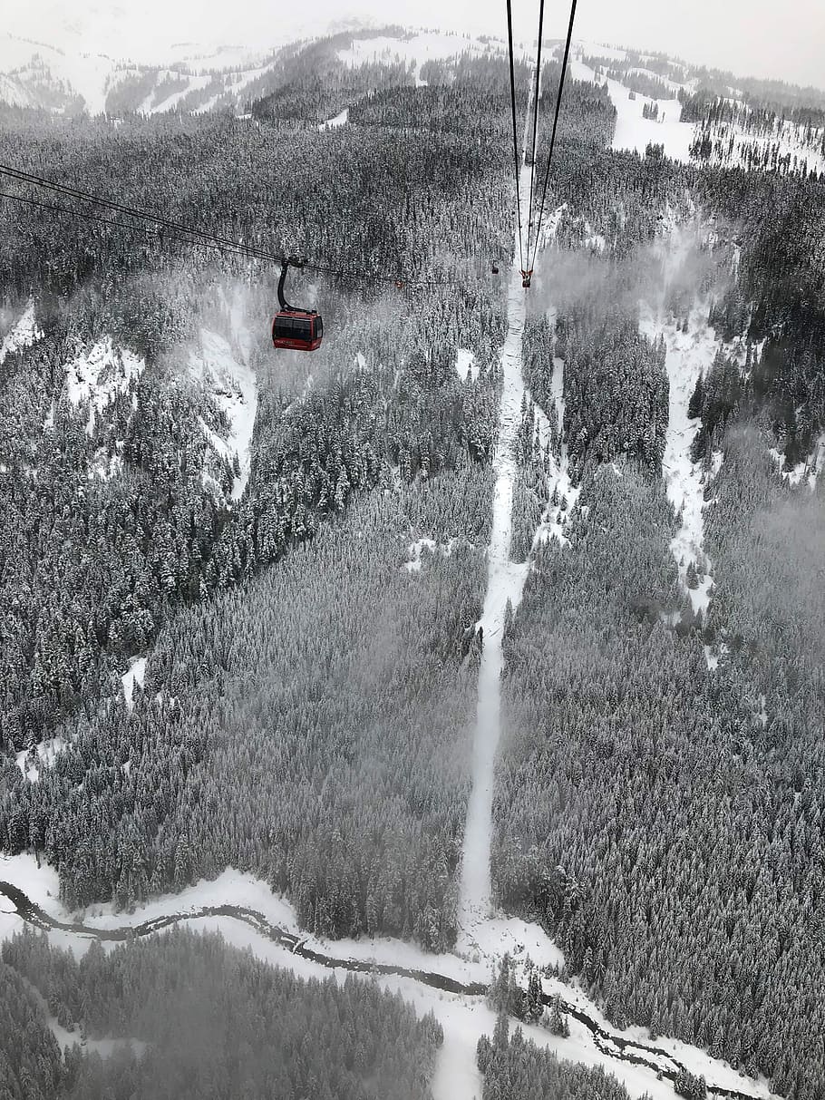 black zip line in aerial view photography, grayscale photography of cable car travelling above snow covered forest HD wallpaper
