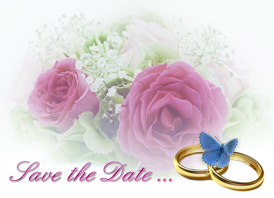 HD wallpaper: wedding, invitation, save the date, roses, hydrangeas, green  | Wallpaper Flare
