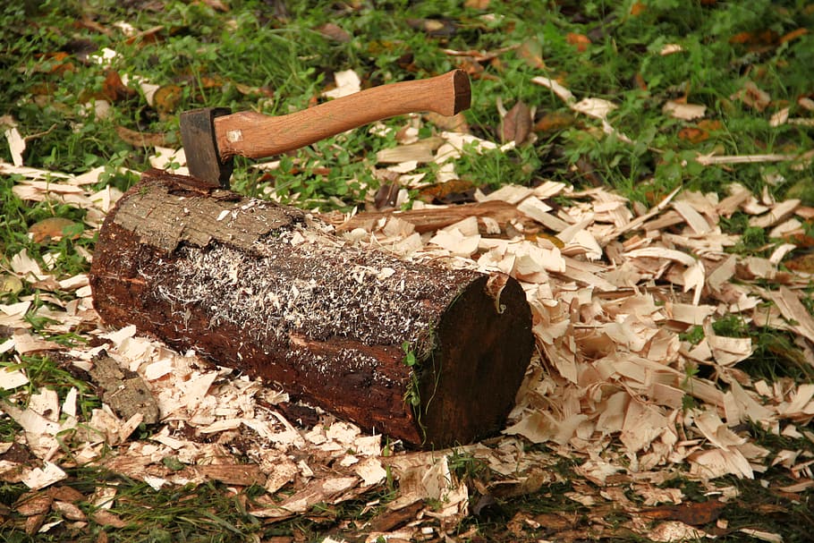 axe, log, chips, wood chop, forest work, make wood, cases, hack HD wallpaper
