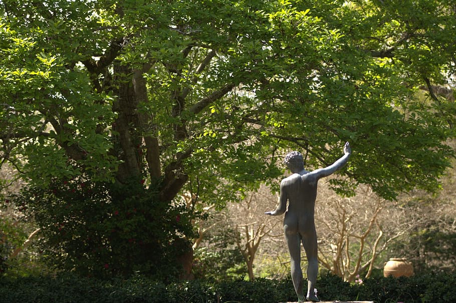 tree, garden, statue, greek, sculpture, green, nature, park HD wallpaper