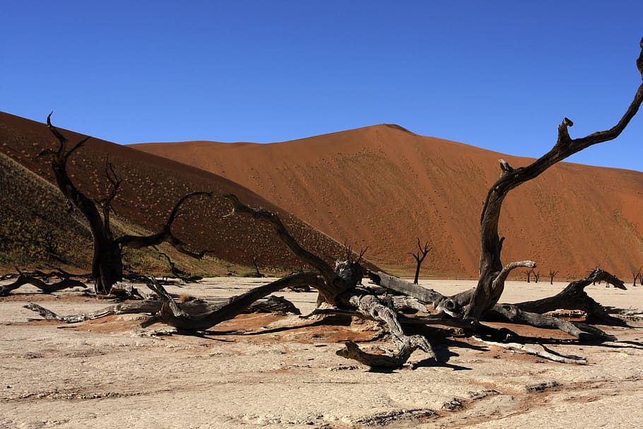 Namibia, Sossusvlei, Dunes, Nature, hills, desert, arid climate HD wallpaper