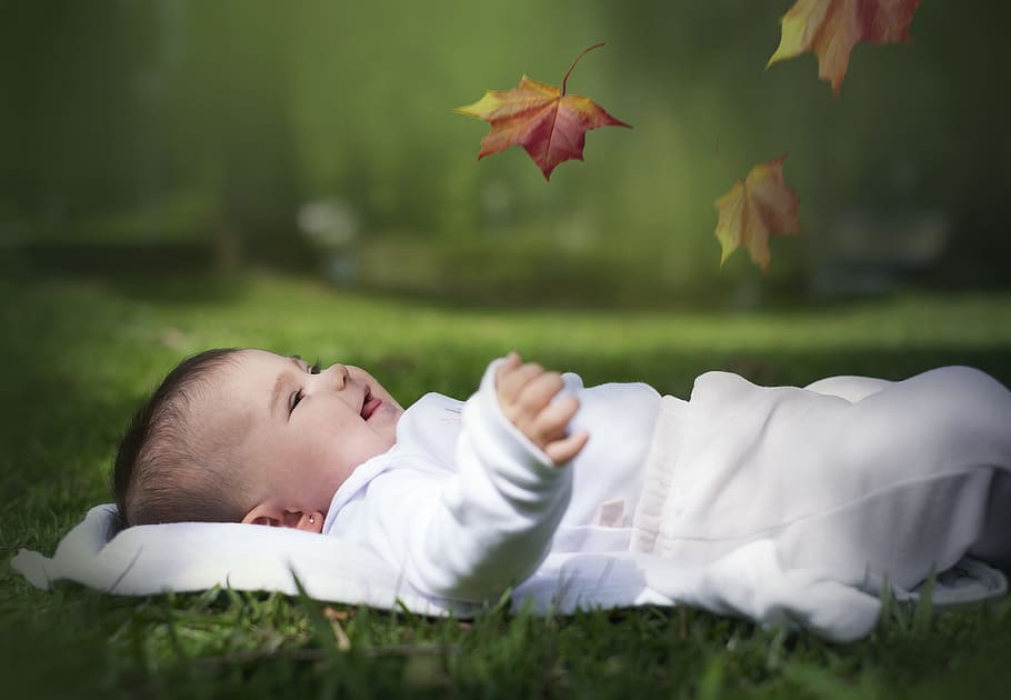 Baby Sitting On Grass Holding Green Leaves And Looking Upward Stock Photo -  Download Image Now - iStock