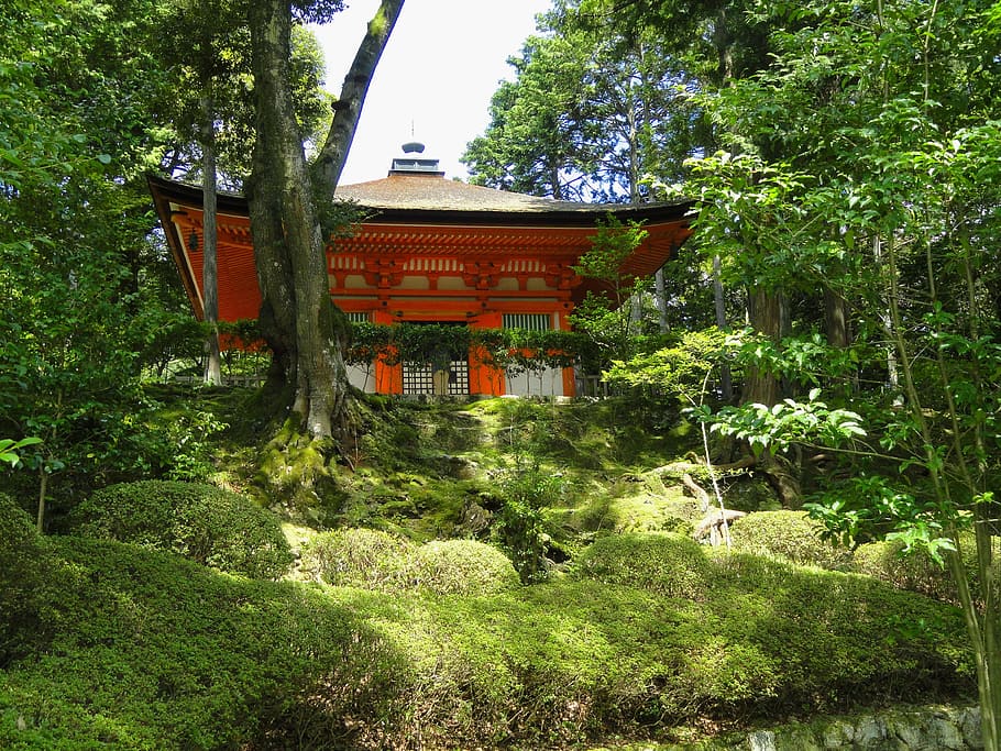 red and white wooden pagoda, otsu, japan, shingon, temple, religion HD wallpaper