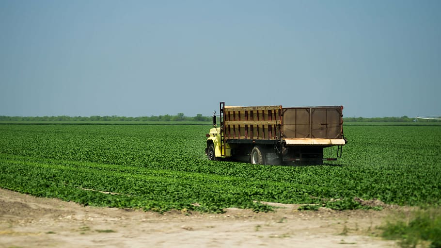 ranch, sembradillo, camion, landscape, agriculture, farm, rural Scene HD wallpaper