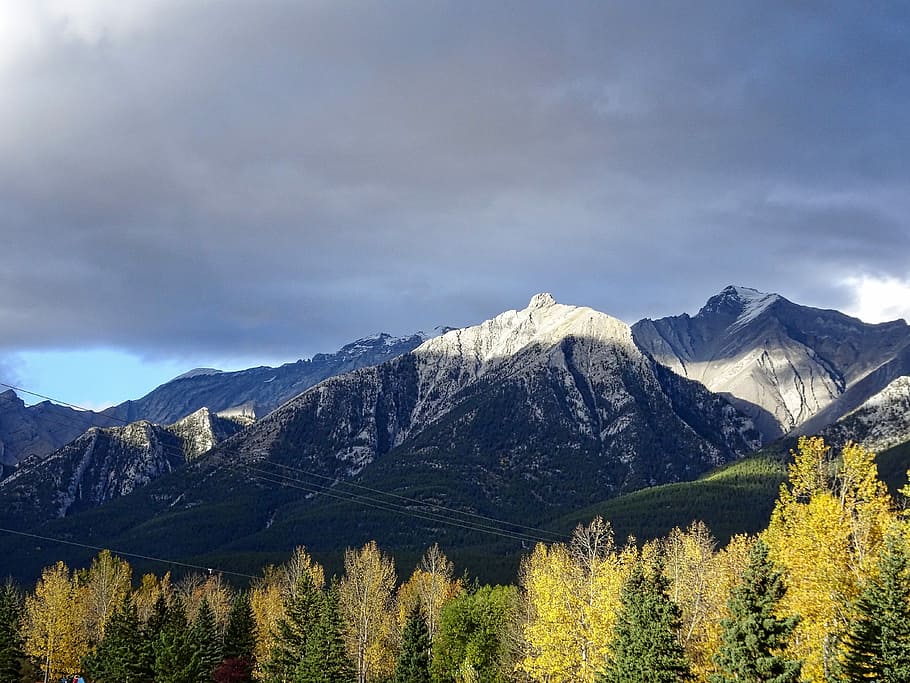 Light, Mountains, Forest, autumn, rockies, canada, landscape HD wallpaper