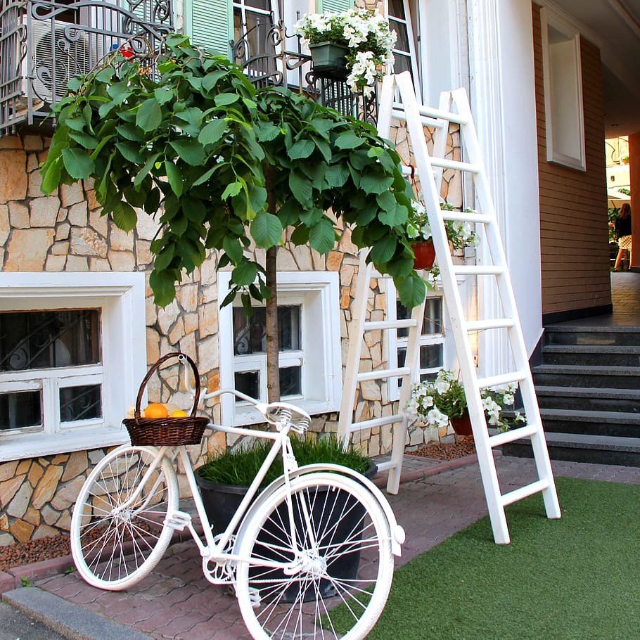 White Step Through Bicycle Leaning Beside Tree Plant, architecture, HD wallpaper