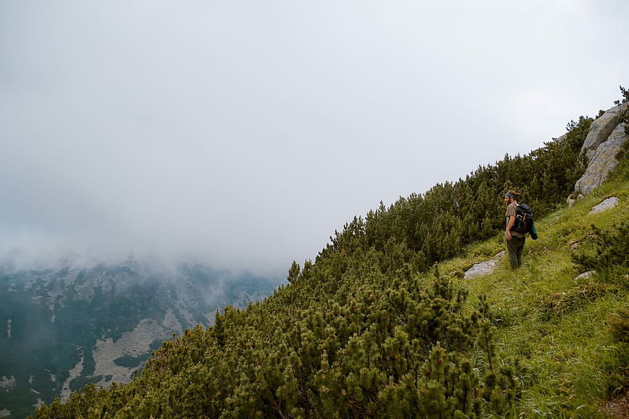person standing on top of mountain, hiking, mounatin, forest HD wallpaper