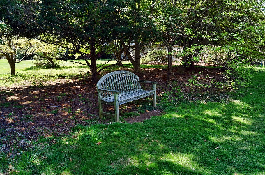 bench, park, seating, trees, landscaping, lawn, grass, outdoors HD wallpaper