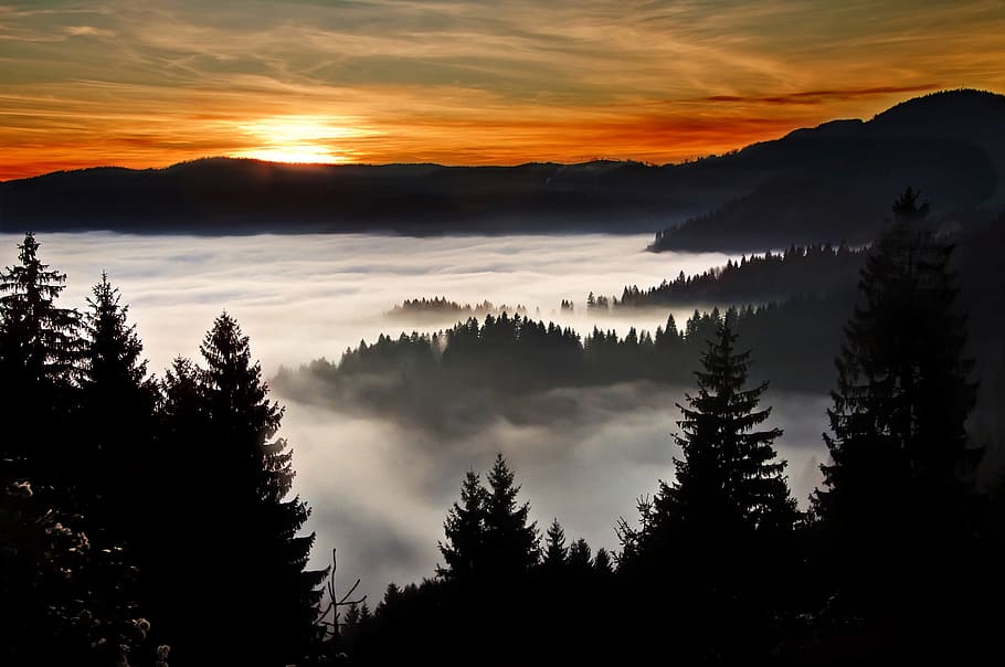 Silhouette Photography of Trees and Mountain, clouds, dusk, evening HD wallpaper