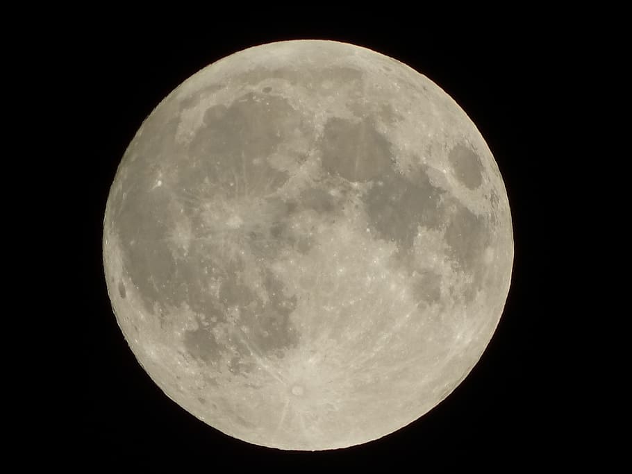 Full Moon, grey, night, moon surface, astronomy, planetary moon HD wallpaper