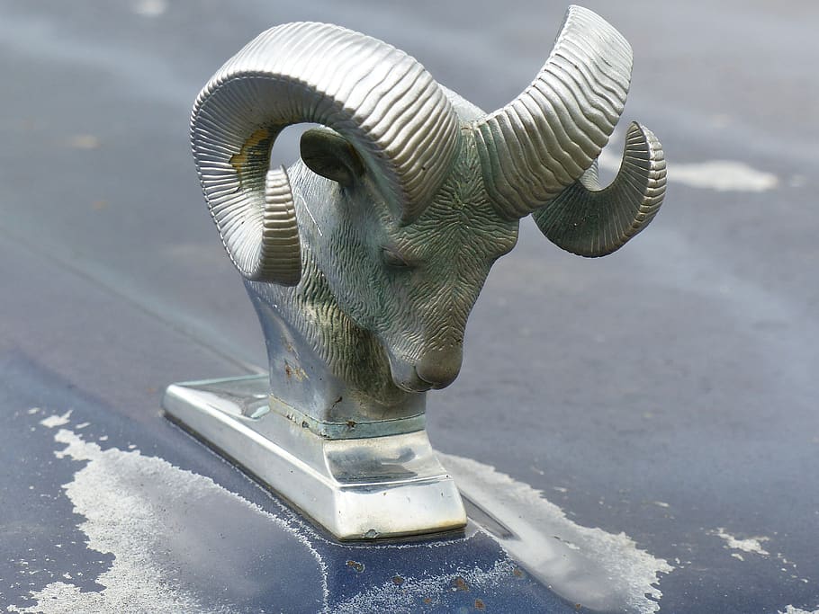 djurprydnad, car, summer, both, horn, no people, animal representation HD wallpaper