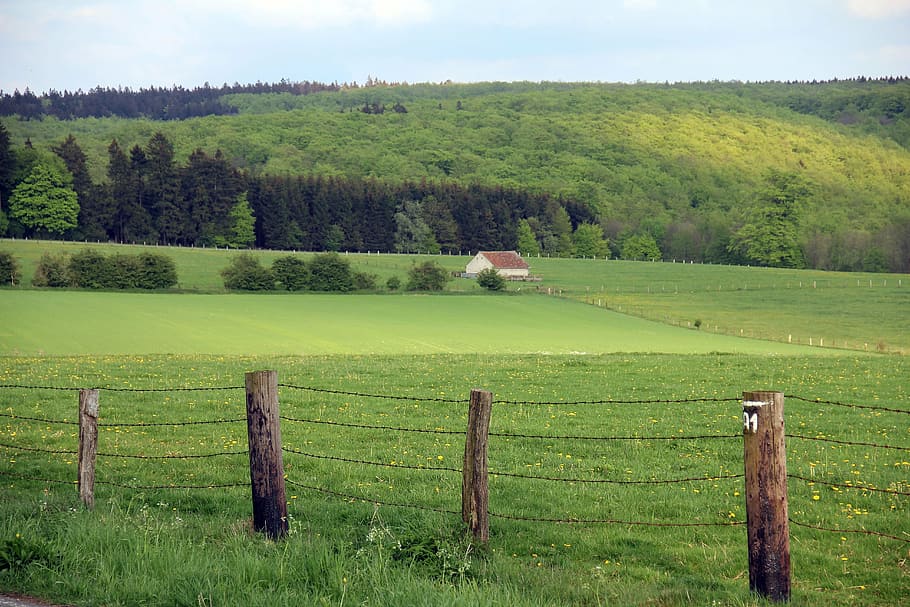 landscape, fence, forest, teutoburg forest, rural Scene, nature, HD wallpaper