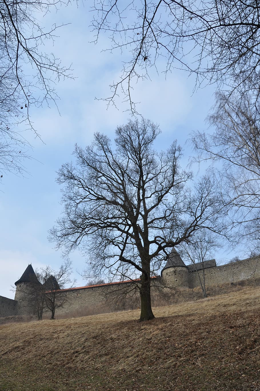 Castle, Monument, Architecture, Building, tree, helfstyn, czech republic HD wallpaper