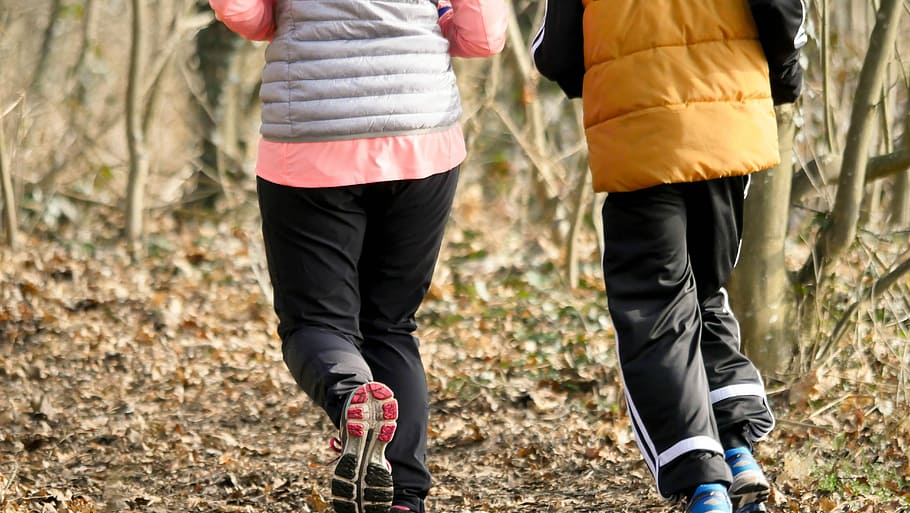 two person in jogging gesture, run, sport, forest, nature, leisure HD wallpaper