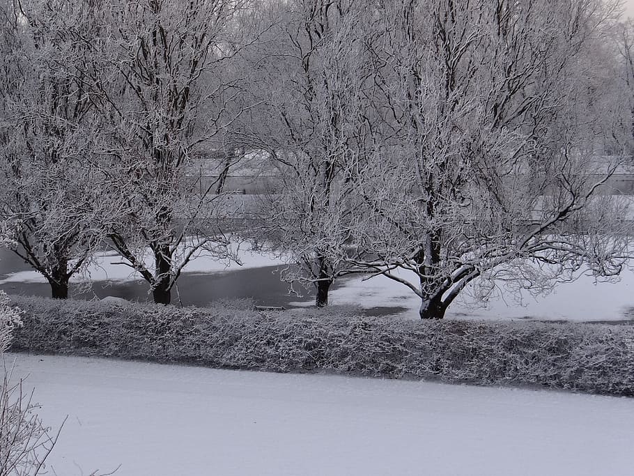 wintry, snow, trees, winter magic, nature, water, river, ice HD wallpaper