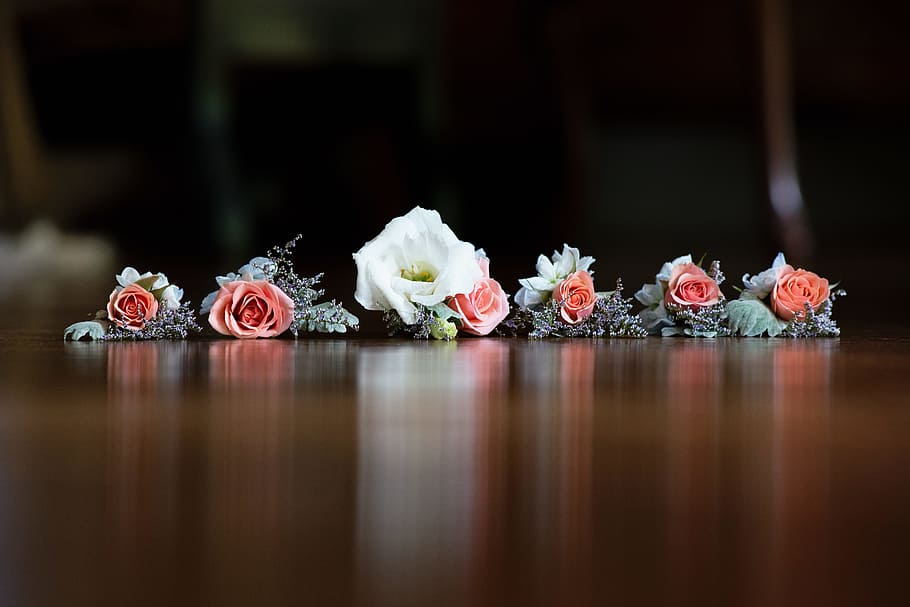 pink and white rose flowers on brown panel, shallow focus photography of flowers HD wallpaper