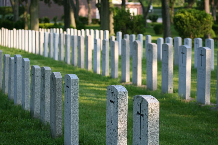 headstones, rows, graveyard, cemetery, military, grass, in a row HD wallpaper